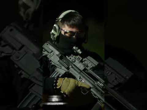 Halo Battle Rifle IRL (Hellion)