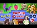 RATS IN TARGET STORES! POKEMON GO Part 5 (FGTEEV GYM Win, EGG HATCHING & EVOLVE Gameplay)