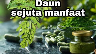 Moringa Leaves Are Rich in Benefits for Various Diseases