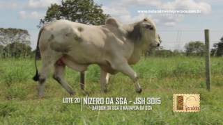 LOTE 20 JSH 3015