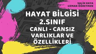 2.Sinif Hayat Bi̇lgi̇si̇ Canli Ve Cansiz Varliklar İlgi̇si̇ İtki̇