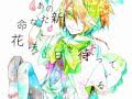 [KagamineRin]あの桜のように(LikeCherryBlossom)