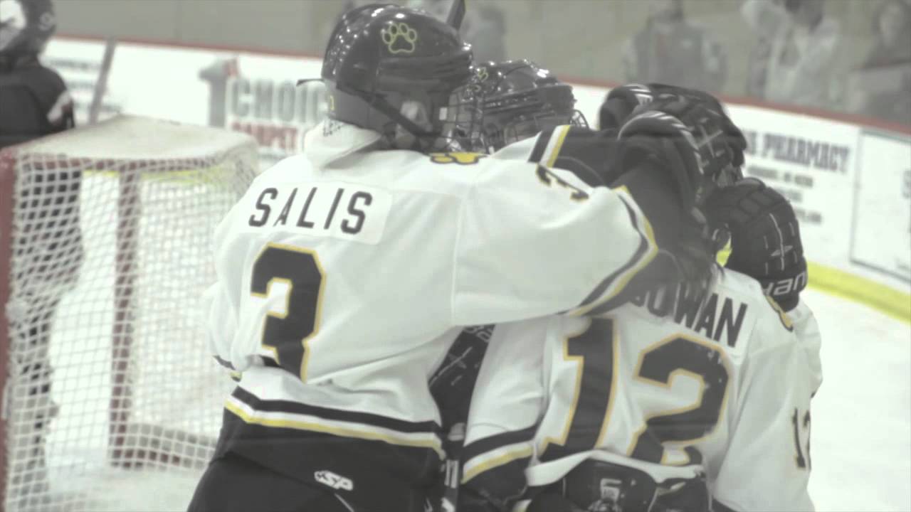 Adrian College Women's NCAA Hockey YouTube