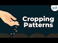 What are the Cropping Patterns | Don't Memorise
