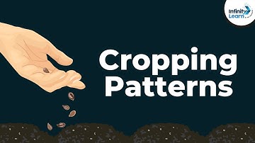 What are the Cropping Patterns | Don