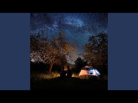 Ніч зоряна