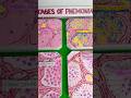 pneumonia symptoms model | pneumonia Science project #schoolproject #shorts #science #biology