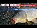 Ловля САЗАНА от А до Я. Знай и ЛОВИ речного силача. Школа рыбалки #рыбалка #сазан #карп