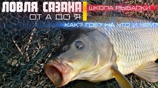 картинка: Ловля САЗАНА от А до Я. Знай и ЛОВИ речного силача. Школа рыбалки #рыбалка #сазан #карп