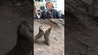 A Little Bit Funny Compilation PART 1🤣🤣🤣🤣#shorts #funny #pin reacts #reaction #viralshorts