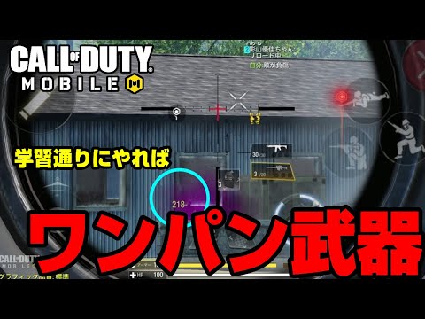 【CoD Mobile BR】✨動画をちゃんと見よう！✨学習通りに実践すればワンパン間違いなし！レイテック＆チャイコム　 #cod #CoDモバイル #バトロワ