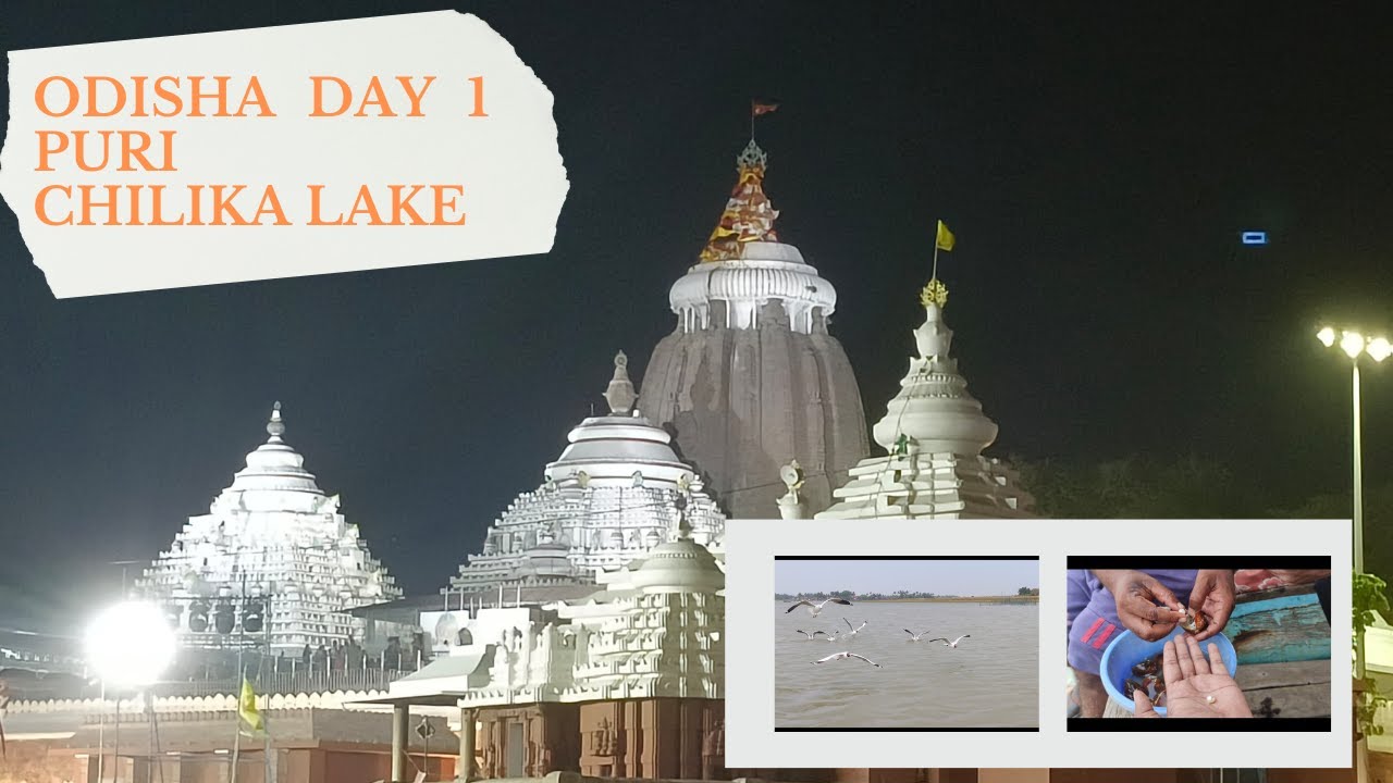 Odisha Day 1 | Puri Temple & Chilika Lake | పూరి ఆలయం & చిలికా సరస్సు | ఒడిశా డే 1  