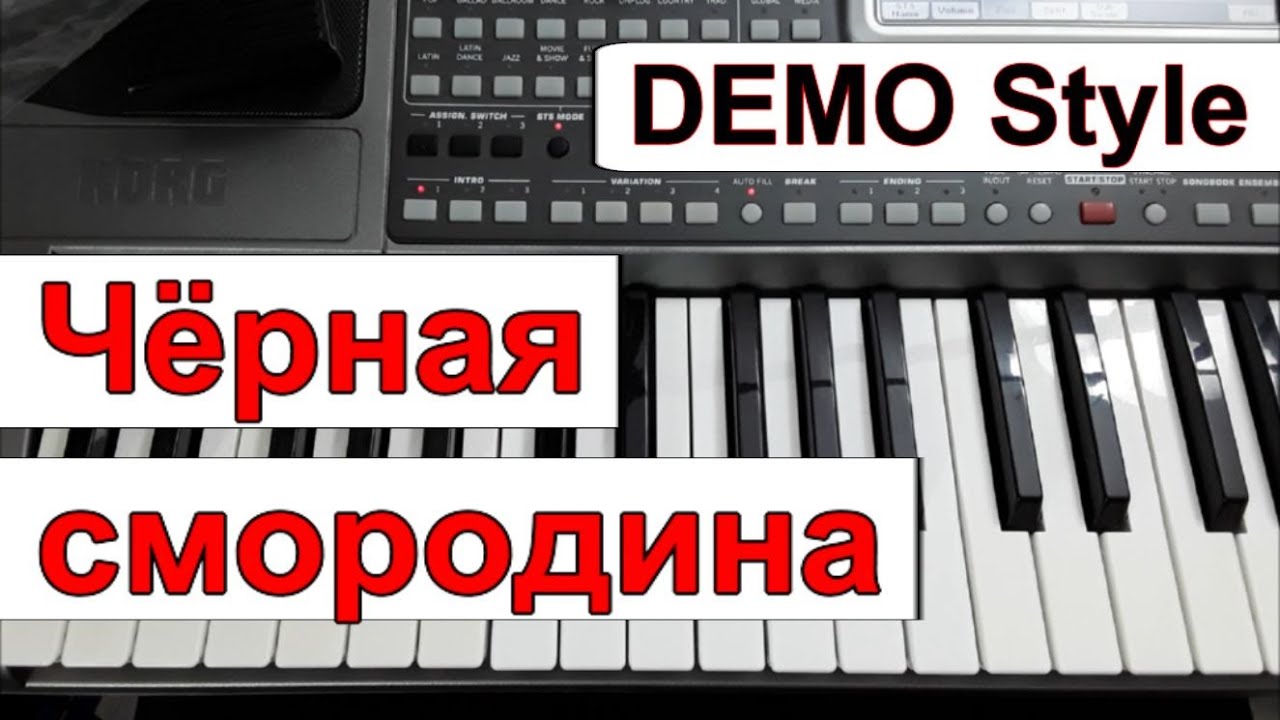 KORG Pa - Стиль «Чёрная смородина» Алёна Росс - караоке Cm
