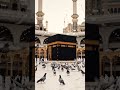 Allah ❤️