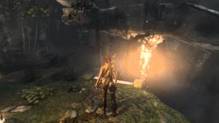 Tomb Raider: Tomb of the Lost Adventurer Guide [DLC]