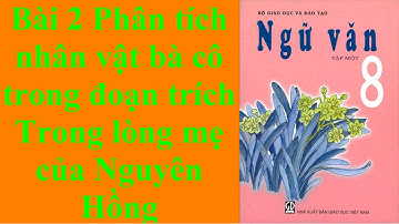 Ngữ văn 8 Bài 2 Phân tích nhân vật bà cô trong đoạn trích Trong lòng mẹ của Nguyên Hồng