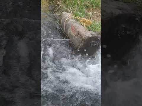 عن جمال الطبيعه في الريف المصري القديم الريف