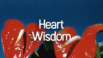 What Happens When You Think With Your Heart – with Dr. Andreas Weber