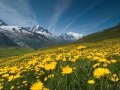 Tout lunivers est plein de sa magnificence  chur dathalie de racine