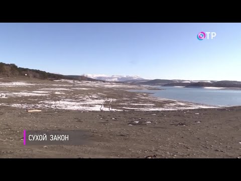 Школа предпринимательства. Мясной ряд Калмыкии. Водная зависимость