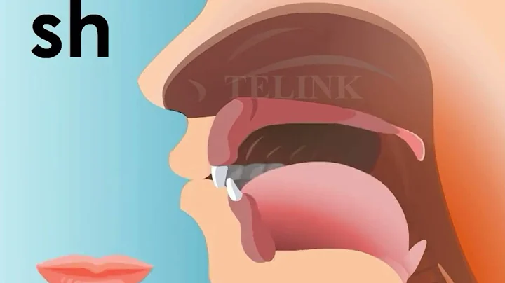 Pronunciation of Initials z c s zh ch sh r