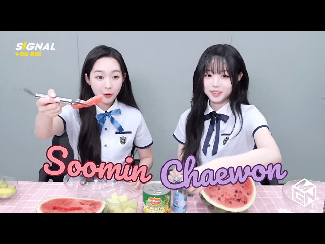 ENG SUB] tripleS SIGNAL LIVE 250805 (Soomin, Chaewon) - Hwachae
