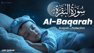 Surah Al Baqarah Complete سورة البقره | THIS WILL Cure & Heal you Soul InshaAllah | Lofi Quran