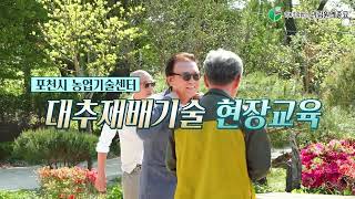 천황대추에 대한 궁금증 현장에서  듣다.!!  -포천편-   ▒ 미림원예종묘 ▒