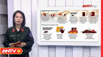 Sau vụ cháy ở chung cư Khương Hạ: Trang bị kĩ năng thoát hiểm khi xảy ra cháy nổ | ANTV