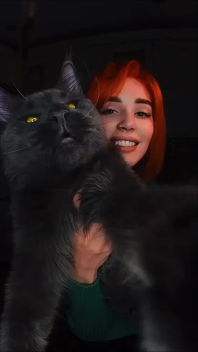 Black Cats Are Amazing