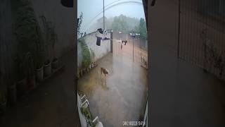 Deve Estar Tudo Bem Né?