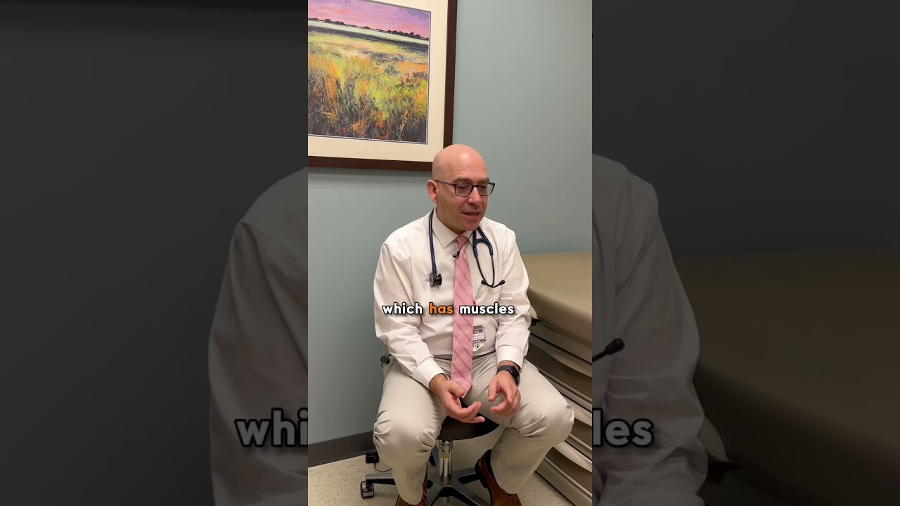 What Is Congenital Heart Disease 