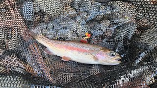 Camping/Fishing Solo Part-2 Fishing After The Storm by Noojee Bushgoods 395 views 4 months ago 17 minutes