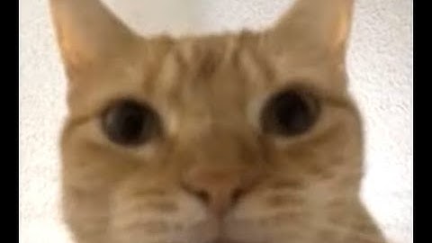 [JSTRIS] snowichi 1:11 40L sprint