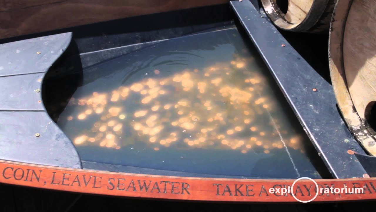 We Make the Treasure by Paul Ramirez Jonas | Exploratorium