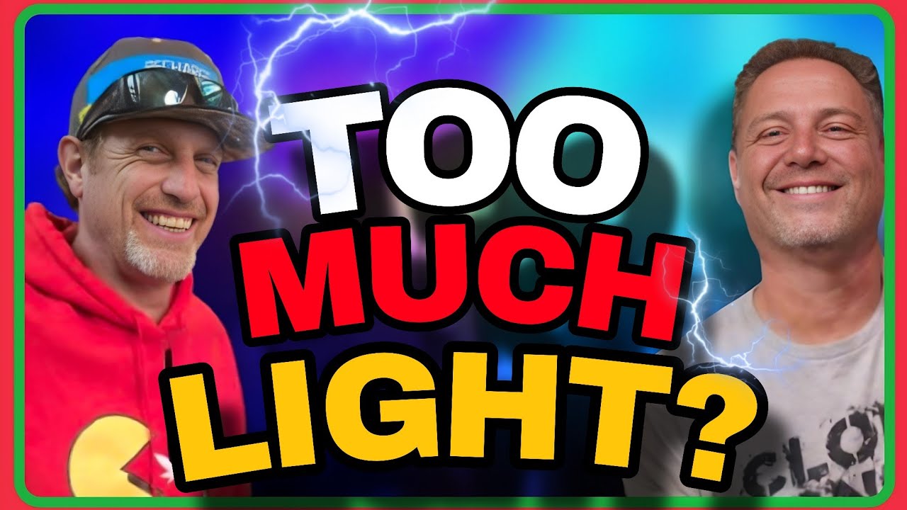 Maximizing Cannabis Yields With the Right Lighting Setup