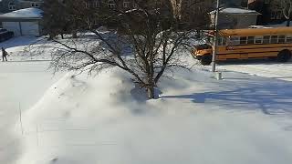 Bus 110 part 242
