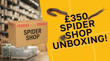 £350 Spider Shop Unboxing!