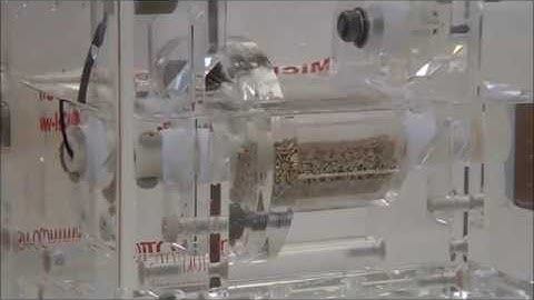 Yamamoto MS Tenori Barrel