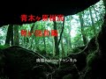 本当にあった！！樹海の怖い話　前編「樹海の落とし物」　廃墟Explorerチャンネル021