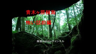 本当にあった！！樹海の怖い話　前編「樹海の落とし物」　廃墟Explorerチャンネル021