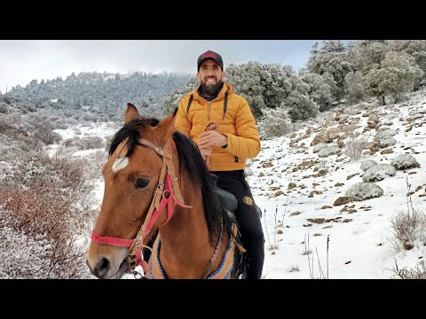 اولاد سلطان استديو عادل خده