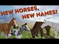 Naming the new foals  minecraft swem rrp