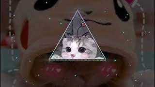 Download Lagu Posisi Dior dior             DJ Tebang     Vietsub   Lyric Tik Tok Song exported MP3