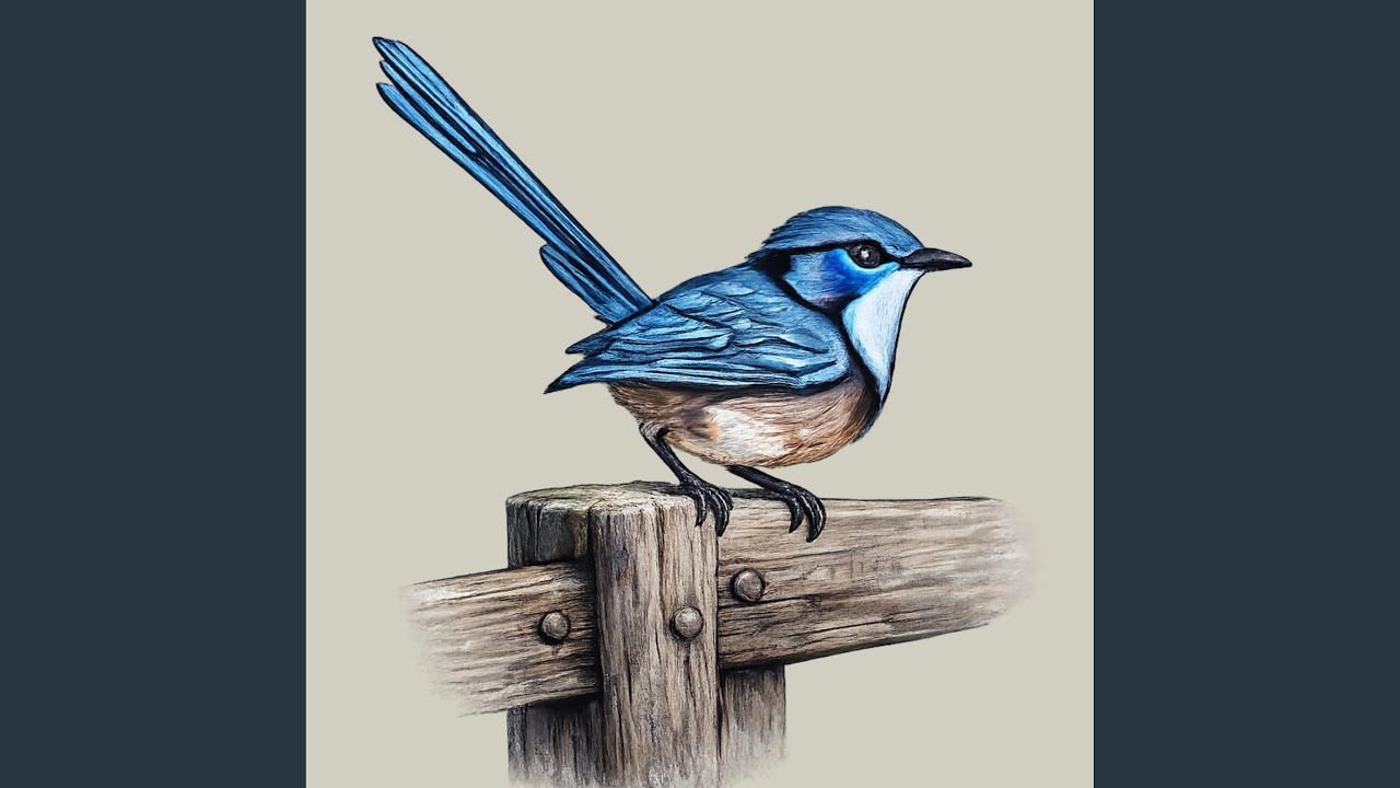 BlueBird - YouTube