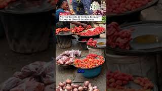 Nigeria targets US$1 Trillion economy by 2030 as growth accelerates