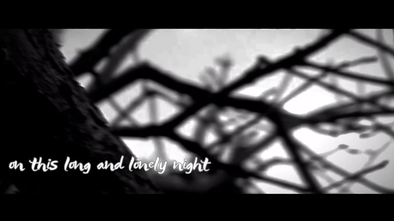 Archy The Cockroach - Long And Lonely Night - YouTube