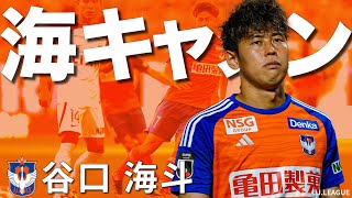 アルビレックス新潟　直筆サイン入りユニフォーム2024 谷口海斗　Mサイズ アルビレックス新潟 直筆サイン入りユニフォーム2024 谷口海斗 M