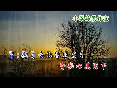 相思風雨中 - 張學友男聲伴唱