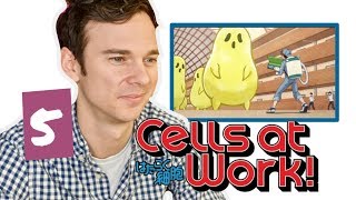 Real DOCTOR reacts to CELLS AT WORK! // Episode 5 // 'Cedar Pollen Allergy'